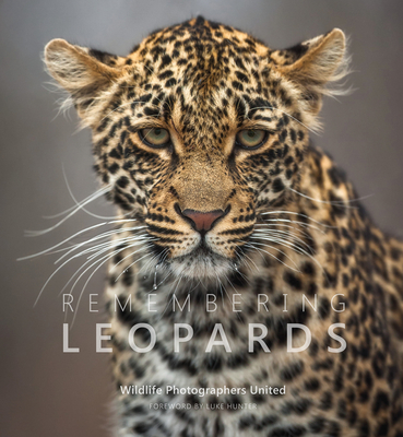 Remembering Leopards By Margot Raggett, Wildlife Photographers United Cover Image