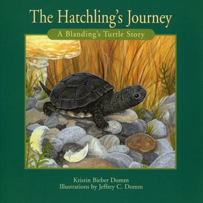 Hatchling's Journey (Natural Heroes)