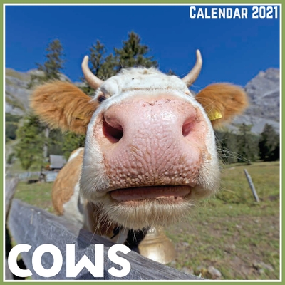 Cows Calendar 2021: Official Cows Calendar 2021, 12 Months By Digi Artislap Cover Image