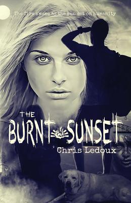 The Burnt Sunset Cover Image