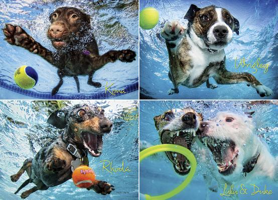 Underwater Dogs 2 1000-Piece Puzzle Cover Image