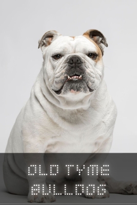 Old Tyme Bulldog: Complete breed guide Dalloway's Literary