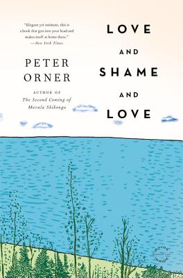 Cover for Love and Shame and Love