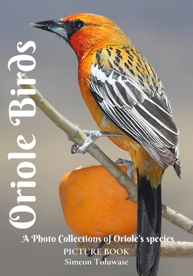 Oriole Birds Picture Book A Photo Collections of Oriole's species