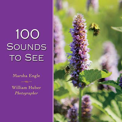 100 Sounds to See By Marsha Engle, William Huber Cover Image