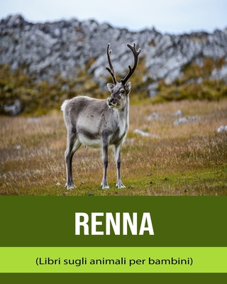 Renna (Libri sugli animali per bambini) Cover Image