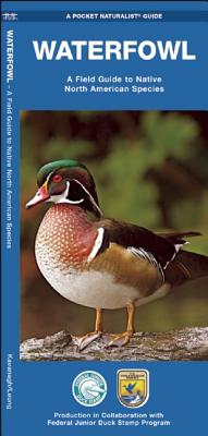 Waterfowl: A Field Guide to Native North American Species (Wildlife and Nature Identification)