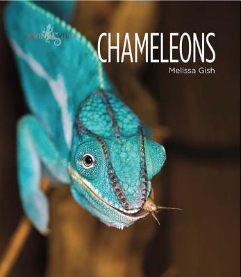 Living Wild: Chameleons Cover Image