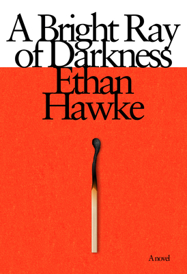 A Bright Ray of Darkness: A novel Cover Image