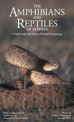 Amphibians and Reptiles of Alberta By Anthony Russell, Aaron M. Bauer, Wayne Lynch (By (photographer)), Irene McKinnon (Illustrator) Cover Image