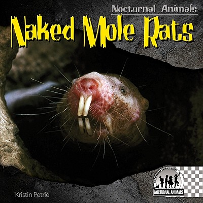 Naked Mole Rats (Nocturnal Animals) (Library Binding) | Barrett Bookstore