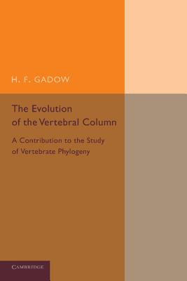 The Evolution of the Vertebral Column: A Contribution to the Study of Vertebrate Phylogeny By H. F. Gadow, J. F. Gaskell (Editor), H. L. H. H. Green (Editor) Cover Image