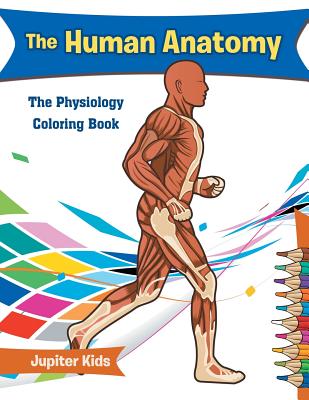 Download The Human Anatomy The Physiology Coloring Book Paperback Brain Lair Books