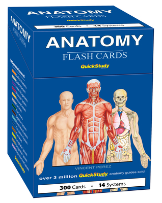 Anatomy Flash Cards: A Quickstudy Reference & Study Tool By Vincent Perez Cover Image