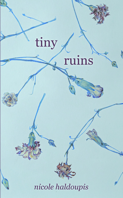 Tiny Ruins By Nicole Haldoupis Cover Image