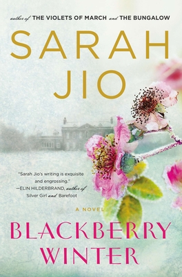 blackberry wine novel