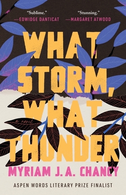 What Storm, What Thunder By Myriam J A. Chancy Cover Image