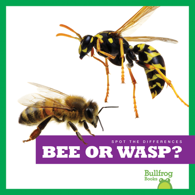 Bee or Wasp? (Spot the Differences) Cover Image