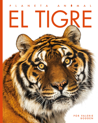 El tigre (Planeta animal) By Valerie Bodden Cover Image