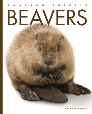 Beavers (Amazing Animals) Cover Image
