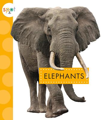 Elephants By Mary Ellen Klukow Cover Image