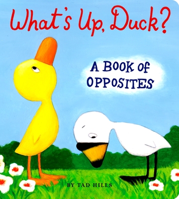 What's Up, Duck?: A Book of Opposites (Duck & Goose)