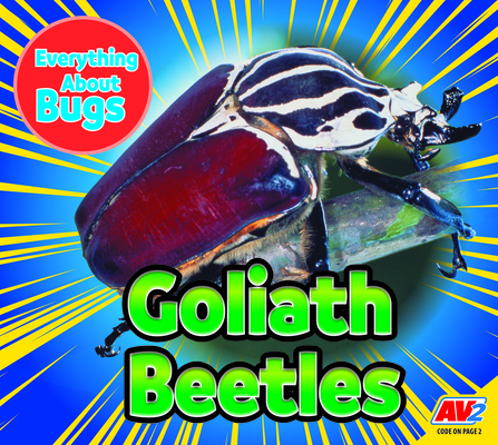 Goliath Beetles (Everything about Bugs)