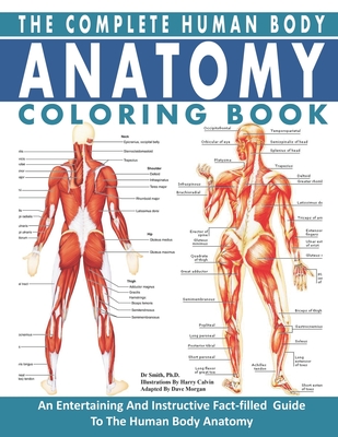 Download The Complete Human Body Anatomy Coloring Book The Ultimate Anatomy And Physiology Study Guide For Beginners Paperback Folio Books