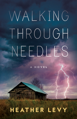 Cover for Walking Through Needles