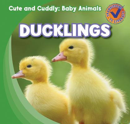 Ducklings (Cute and Cuddly: Baby Animals) By Katie Kawa Cover Image