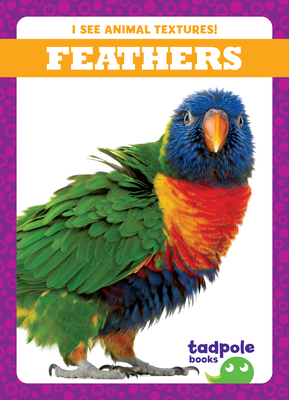 Feathers By Jenna Lee Gleisner Cover Image
