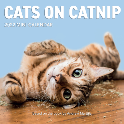 Cats on Catnip Mini Wall Calendar 2022: Cats on Catnip Mini