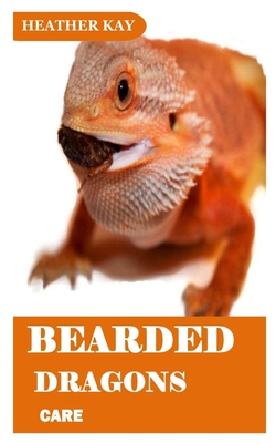 How to Start Keeping Bearded Dragons