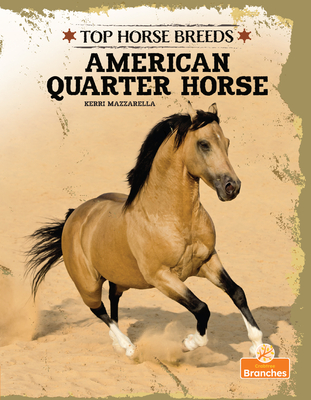 American Quarter Horse By Kerri Mazzarella Cover Image