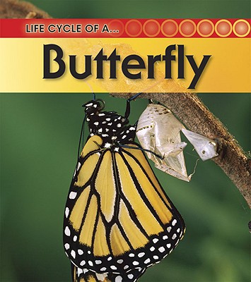 Butterfly Cover Image