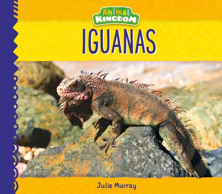 Iguanas (Animal Kingdom)