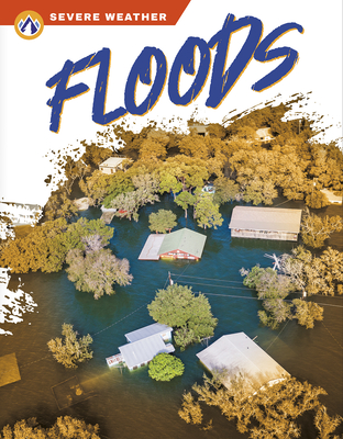 Floods By Sharon Dalgleish Cover Image