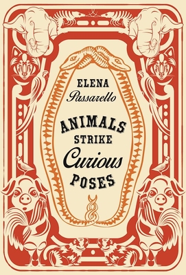 Animals Strike Curious Poses By Elena Passarello Cover Image