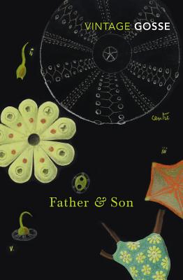 Father & Son By Edmund Gosse, Anthony Quinn (Introduction by), Sarah Perry (Afterword by) Cover Image