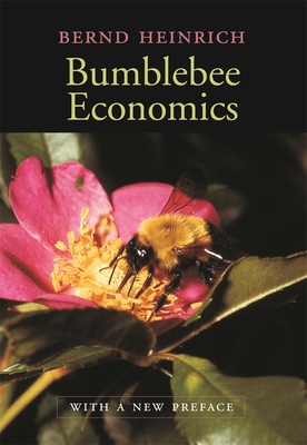 Bumblebee Economics: With a New Preface Cover Image