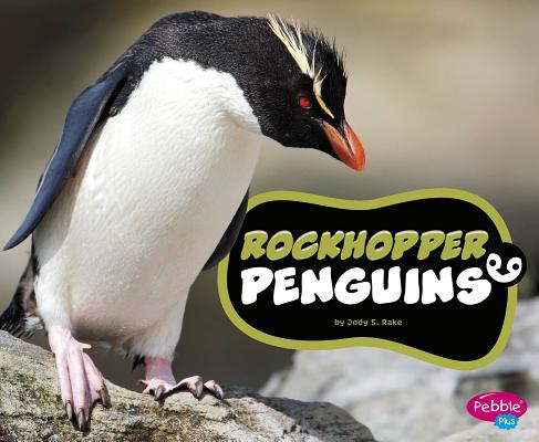 Rockhopper Penguins By Jody S. Rake Cover Image