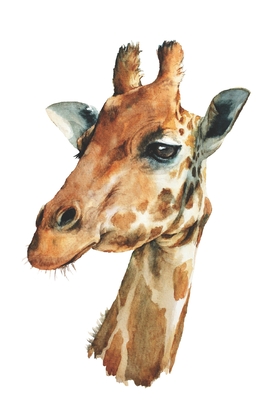 Notebook: for giraffe lovers Cover Image