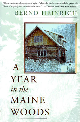 A Year In The Maine Woods