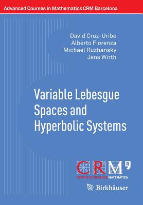 Variable Lebesgue Spaces and Hyperbolic Systems (Advanced Courses in Mathematics - Crm Barcelona #27) Cover Image