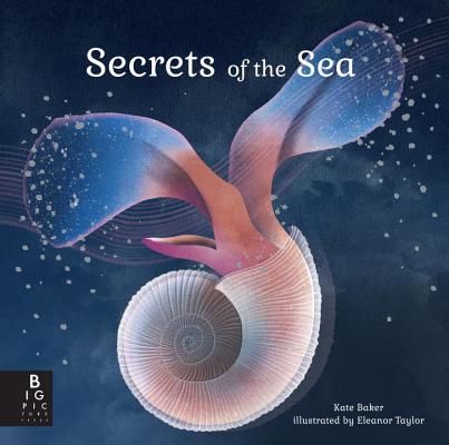 Secrets of the Sea By Kate Baker, Eleanor Taylor (Illustrator) Cover Image