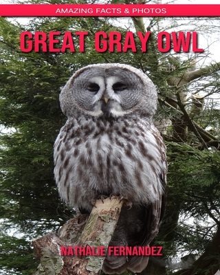 Cover for Great Gray Owl: Amazing Facts & Photos
