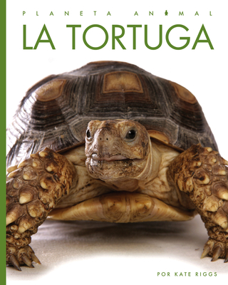 La tortuga (Planeta animal) By Kate Riggs Cover Image