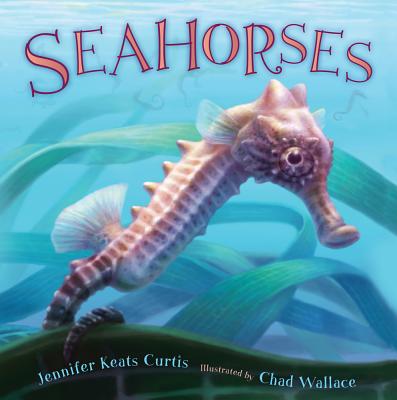 Seahorses Cover