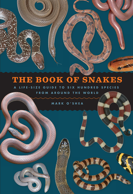 The Book of Snakes: A Life-Size Guide to Six Hundred Species from around the World By Mark O'Shea Cover Image