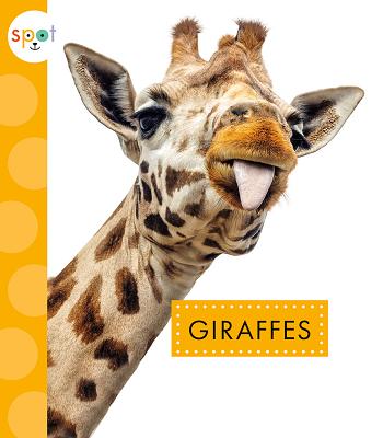 Giraffes (Spot African Animals)